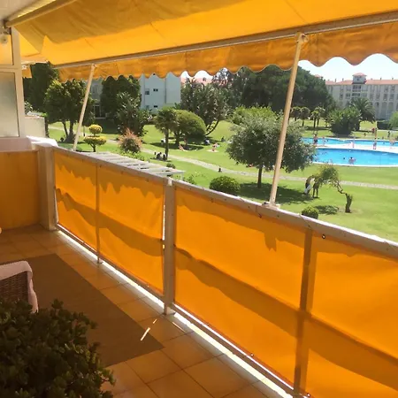 Hortensias De Jardin *