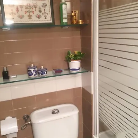 Hortensias De Jardin O Grove