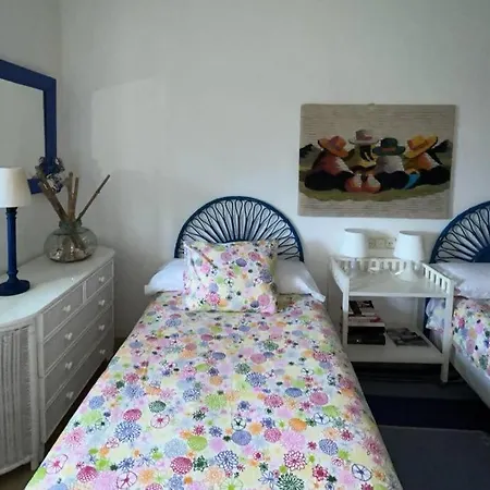 Hortensias De Jardin *