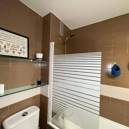 Hortensias De Jardin *