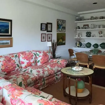 Hortensias De Jardin O Grove